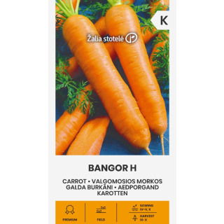 Compra ZANAHORIA BANGOR F1 Pildorada (1 gr. - Cerca de 525 Semillas). en la tienda online Fito Agrícola