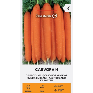 Compra ZANAHORIA CARVORA F1 (1 gr. - Cerca de 800 Semillas). en la tienda online Fito Agrícola