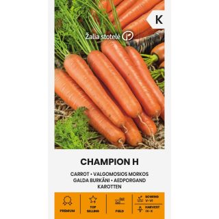 Compra ZANAHORIA CHAMPION F1 Peliculada (0,5 gr. - Cerca de 225 Semillas). en la tienda online Fito Agrícola