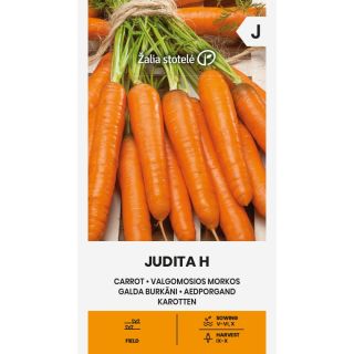 Compra ZANAHORIA JUDITA F1 (2 gr. - Cerca de 1600 Semillas). en la tienda online Fito Agrícola