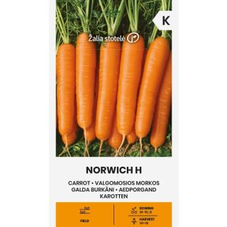 Compra ZANAHORIA NORWICH F1 (1 gr. - Cerca de 850 Semillas). en la tienda online Fito Agrícola
