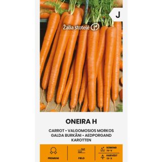 Compra ZANAHORIA ONEIRA F1 (0,5 gr. Carca de 400 Semillas). en la tienda online Fito Agrícola