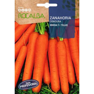 Compra ZANAHORIA TELLUS F1 (5 gr.). en la tienda online Fito Agrícola