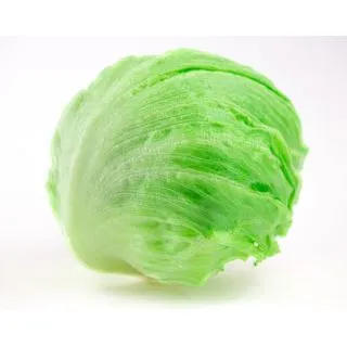 Compra LECHUGA ZICATELA Píldora Sphera (25.000 Semillas) en la tienda online Fito Agrícola