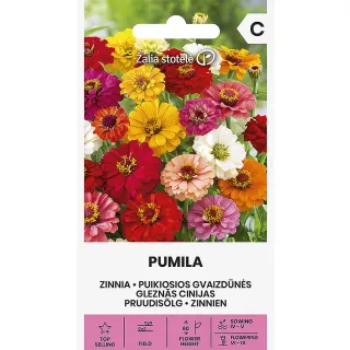 Compra ZINNIA PUMILA (1 gr. - Cerca de 90 Semillas). en la tienda online Fito Agrícola