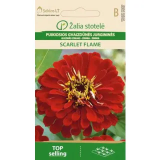 Compra ZINNIA SCARLET FLAME (1 gr. - Cerca de 90 Semillas). en la tienda online Fito Agrícola