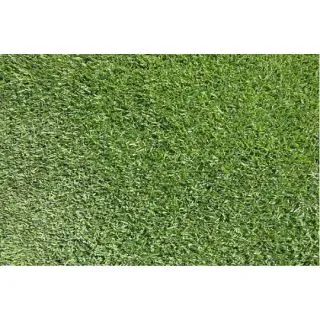 Compra ZOYSIA JAPONICA ZenPro (1 Kgr.). en la tienda online Fito Agrícola