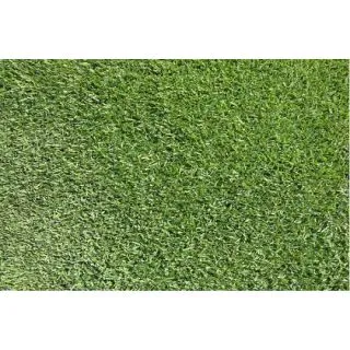 Compra ZOYSIA JAPONICA ZenPro (5 Kgr.). en la tienda online Fito Agrícola