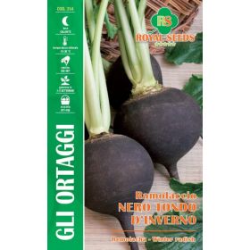 Compra REMOLACHA NEGRA DE INVIERNO (15 gr. - 3.000 Semillas) en la tienda online Fito Agrícola