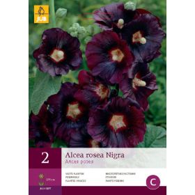Compra ALCEA ROSEA NIGRA en la tienda online Fito Agrícola