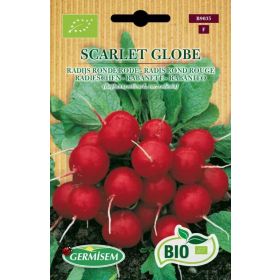 Compra RABANITO SCARLET GLOBE BIO (500 gr.). en la tienda online Fito Agrícola