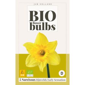 Compra NARCISOS RIJNVELDS EARLY SENSATION BIO en la tienda online Fito Agrícola
