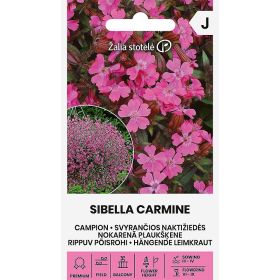 Compra CAMPION SIBELLA CARMINE (20 Semillas). en la tienda online Fito Agrícola