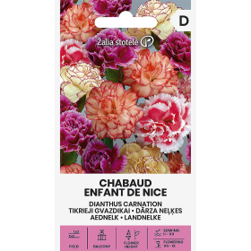 Compra CLAVEL CHABAUD ENFANT DE NICE (1 gr. - Cerca de 500 Semillas). en la tienda online Fito Agrícola