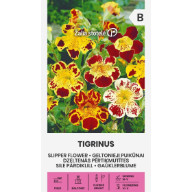 Compra MIMULUS TIGRINUS (0,1 gr. - Cerca de 2200 Semillas). en la tienda online Fito Agrícola
