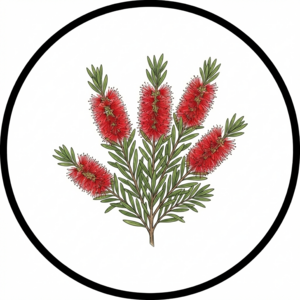 ARBUSTIVAS_EN_ALVEOLOS