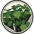 rn_image_picker_lib_temp_1f1df702-1d4b-409a-8793-1ade1d228f46