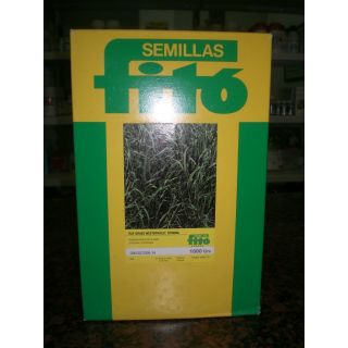 Compra RAY GRASS WESTERWOLD TRINOVA (1 Kgr.). en la tienda online Fito Agrícola