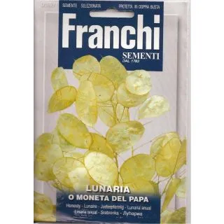 Compra LUNARIA o MONEDA DEL PAPA (2 gr.). en la tienda online Fito Agrícola