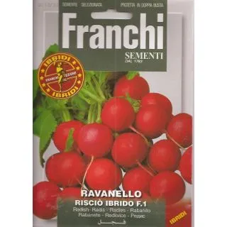 Compra RABANITO RISCIO F1 (3 gr. - Cerca de 1600 Semillas). en la tienda online Fito Agrícola