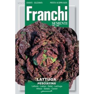 Compra LECHUGA PESCITIANA BESSON ROUGE (6 gr.). en la tienda online Fito Agrícola