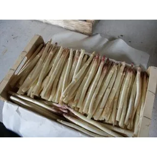 Compra ESPÁRRAGO ARGENTEUIL (10 Garras) en la tienda online Fito Agrícola