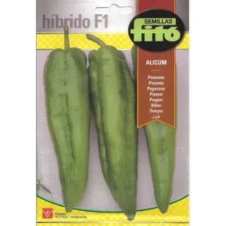 Compra ARDEI ALICUM F1 (40 semințe). en la tienda online Fito Agrícola