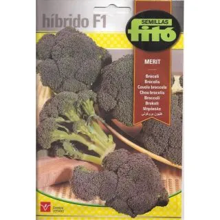 Compra BRÓCOLI MERIT F1 (50 Semillas) en la tienda online Fito Agrícola