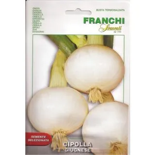 Compra CEBOLLA GIUGNESE/REGINA (3 gr.). en la tienda online Fito Agrícola