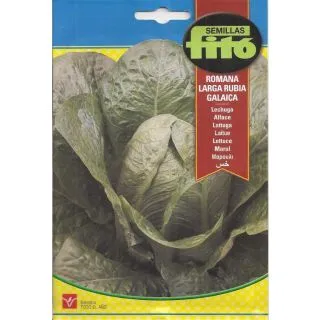 Compra LECHUGA LARGA RUBIA GALAICA (8 gr.). en la tienda online Fito Agrícola