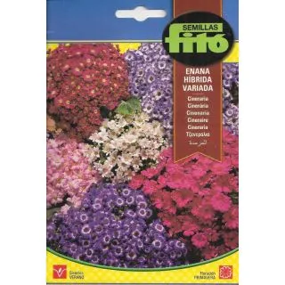 Compra CINERARIA PITICĂ VARIATĂ F1 (0,05 gr.). en la tienda online Fito Agrícola