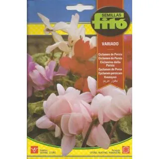 Compra CICLAMEN DE PERSIA VARIAT (13 semințe) en la tienda online Fito Agrícola
