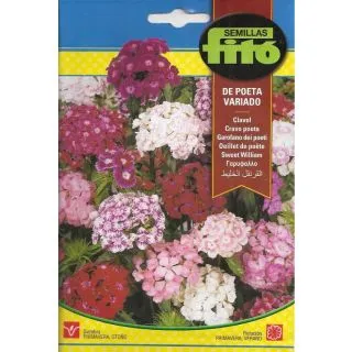 Compra CLAVEL DE POETA VARIAT (4 gr.). en la tienda online Fito Agrícola