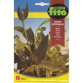 Compra SALVIA (2 gr. - Cerca de 260 Semillas). en la tienda online Fito Agrícola