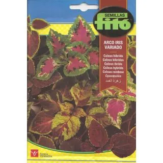 Compra COLEUS CURCUBEU VARIAT F1 (0,4 gr.). en la tienda online Fito Agrícola