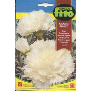 Compra CLAVEL GIGANTE ALB (0,8 gr.). en la tienda online Fito Agrícola
