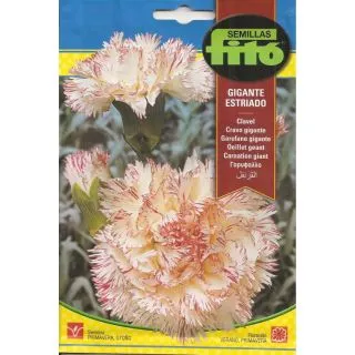 Compra CLAVEL GIGANTE STRIAT (0,8 gr.). en la tienda online Fito Agrícola