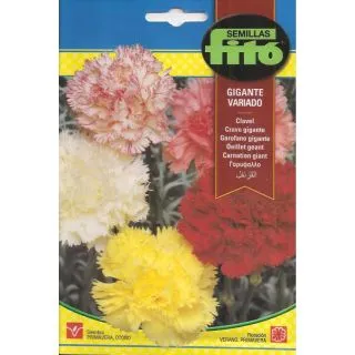 Compra CLAVEL GIGANT VARIAT (0,8 gr.). en la tienda online Fito Agrícola