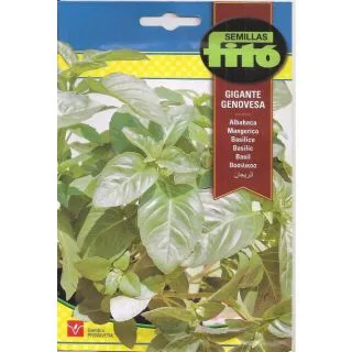 Compra BUSUIOC GIGANT GENOVEZ (3 gr.). en la tienda online Fito Agrícola