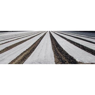 Compra MICROPERFORADO NG (100 gg) - ANCHO 1,30 M. en la tienda online Fito Agrícola