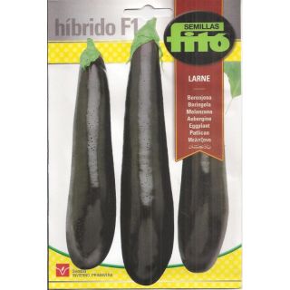Compra BERENJENA LARNE F1 (70 Semillas) en la tienda online Fito Agrícola