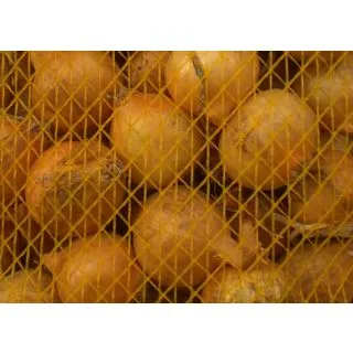 Compra CEBOLLA PAJA VIRTUDES 14/21 (25 Kgr.). en la tienda online Fito Agrícola