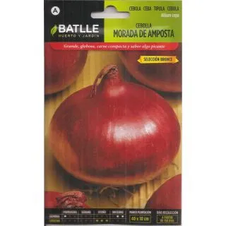 Compra CEBOLLA MORADA DE AMPOSTA Sel. Bronce (4 gr.) en la tienda online Fito Agrícola