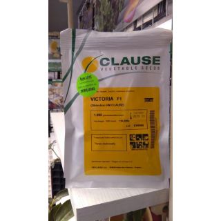 Compra CALABACÍN VICTORIA F1 (1.000 Semillas) en la tienda online Fito Agrícola