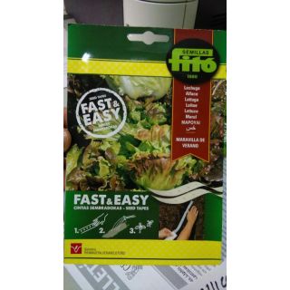 Compra LECHUGA MARAVILLA DE VERANO CINTAS SEMBRADORAS (5 Metros) en la tienda online Fito Agrícola