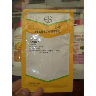 Compra PEPINO RENOIR F1 (1.000 Semillas) en la tienda online Fito Agrícola