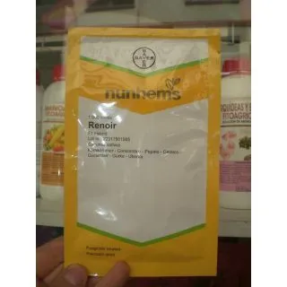 Compra PEPINO RENOIR F1 (1.000 Semillas) en la tienda online Fito Agrícola
