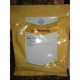 Compra CEBOLLA MATA HARI F1 (100.000 Semillas) en la tienda online Fito Agrícola