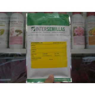 Compra RÚCULA COMÚN BABY LEAF (100 gr.). en la tienda online Fito Agrícola