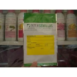 Compra RÚCULA COMÚN HOJA SERRADA BABY LEAF (50 gr.) en la tienda online Fito Agrícola